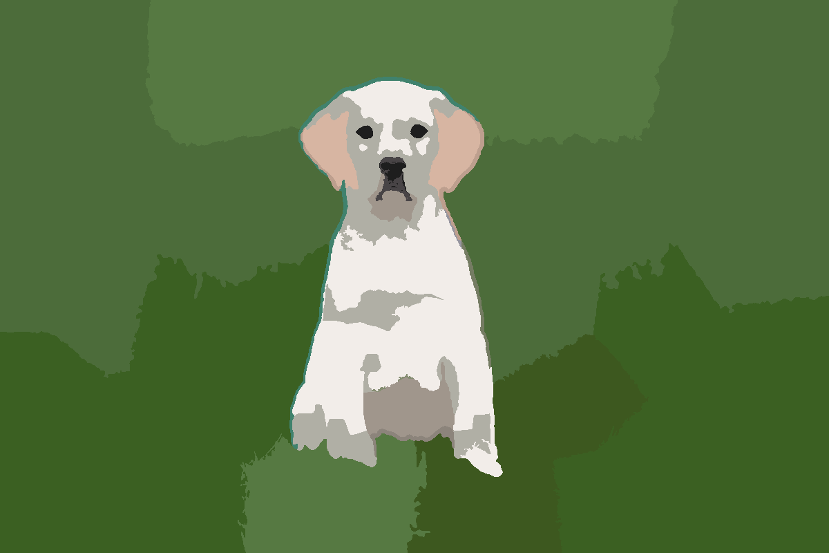 Schilderen op nummer preview van labrador puppy